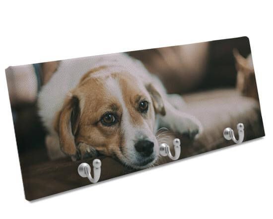 Appendiabiti su Tela 50x20 cm con foto di cane