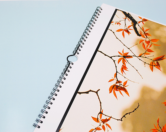 dettaglio fogli in cartoncino per il calendario multipagina