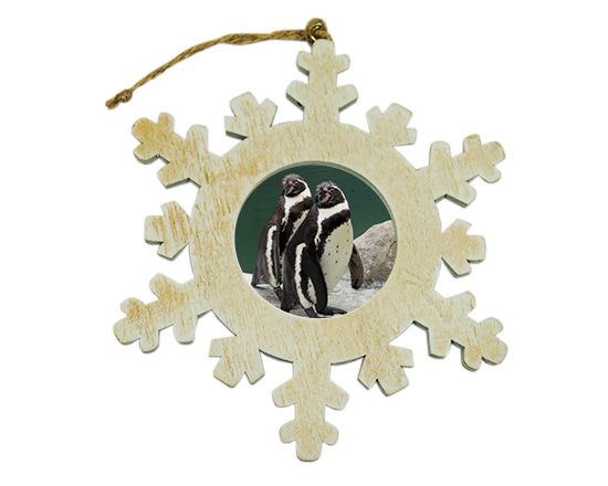 addobbo natalizio con foto