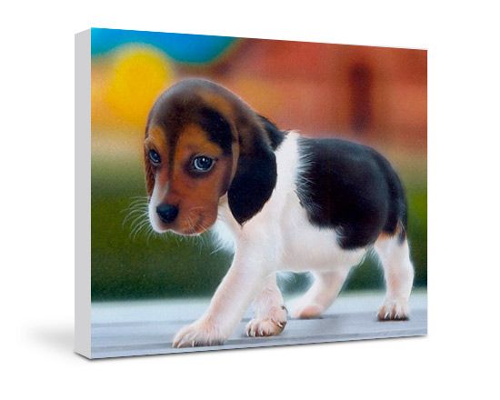 realizza una tela con una foto personalizzata