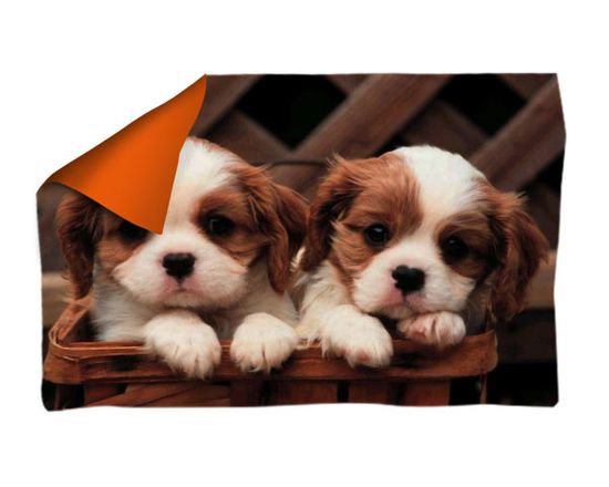 coperta doppio strato con retro arancio