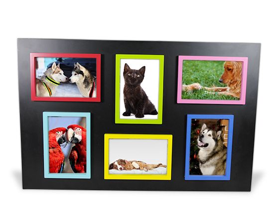 stampa foto in cornice moderna