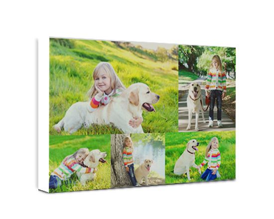 Tela Collage 5 Riquadri