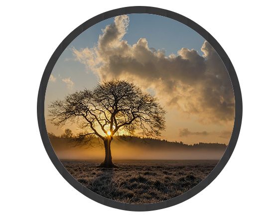 Stampa Zerbino Rotondo in Gomma 85 cm