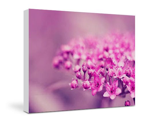 Stampa tela 80x70 personalizzata con foto