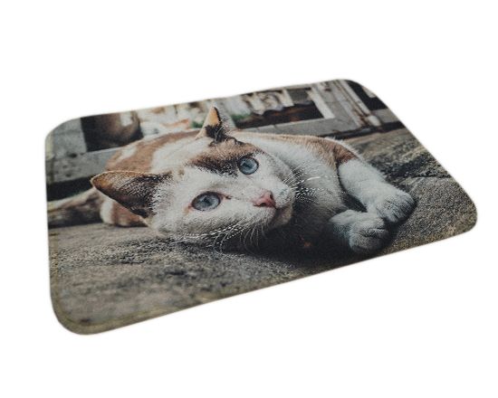 foto su tappetino per animali