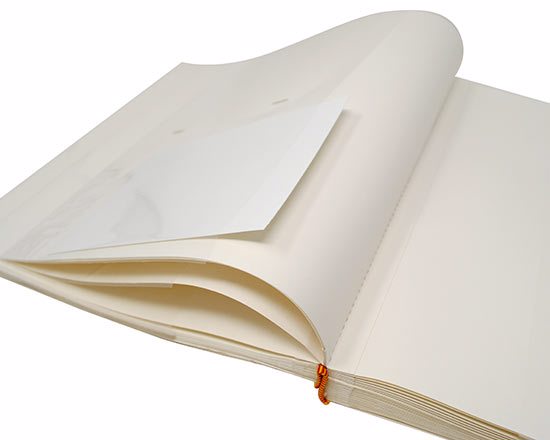 Immagine foglii interni album 26x30