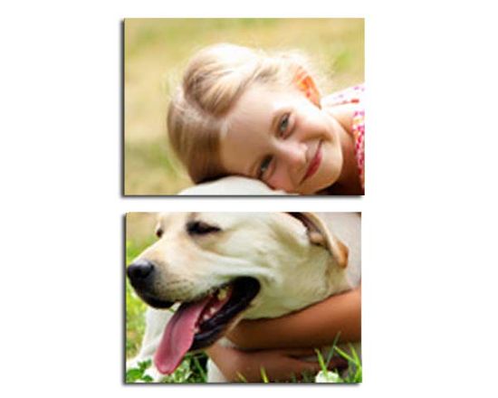 Immagine suddivisa in pannelli di bambina con cane