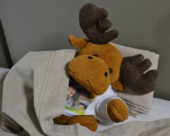 Peluche da coccolare