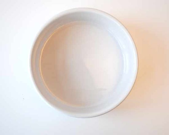 ciotola per animali in ceramica bianca