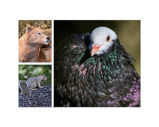 Collage di foto su puzzle A3