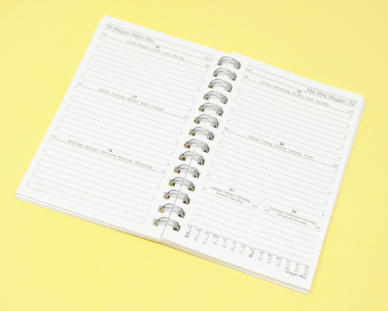 pagine interne dell'agenda piccola con spirale