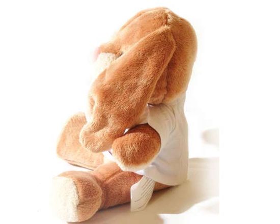Coniglietto di peluche con stampa foto