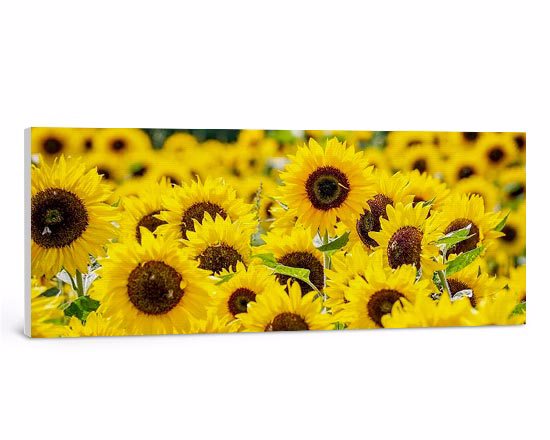 Formato panoramico per le foto stampate su tela