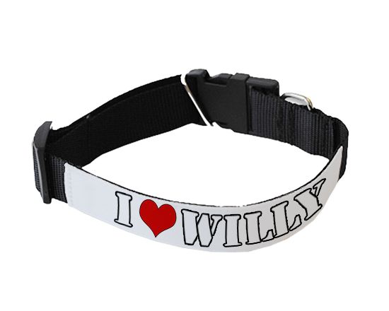 collare personalizzato per cane