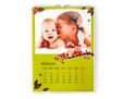 Calendario multipagina con grafica gufi