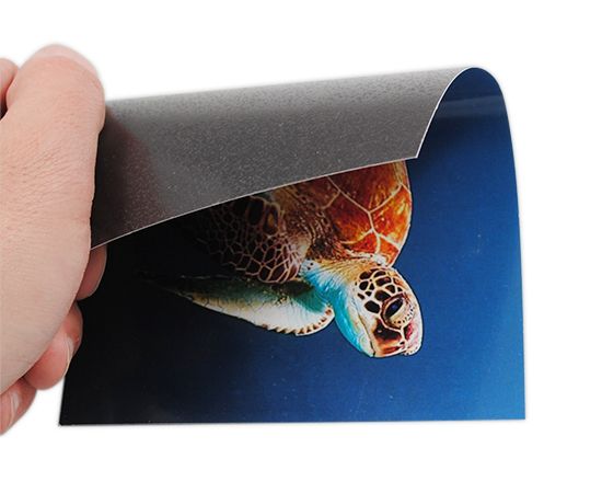 magnete flessibile grande con le tue foto