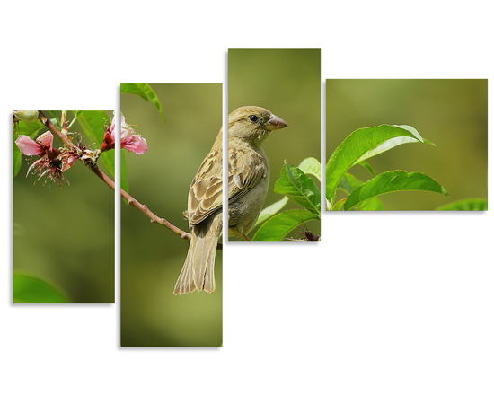 Composizione di quadro moderno formata da 4 pannelli tutti diversi