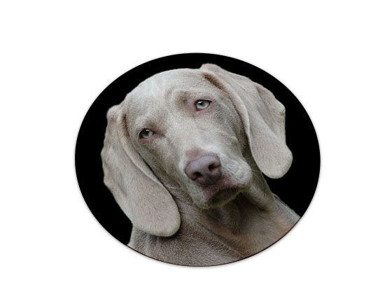 personalizza magnete rotondo flessibile