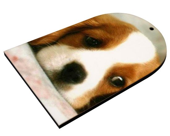 campana in masonite stampata