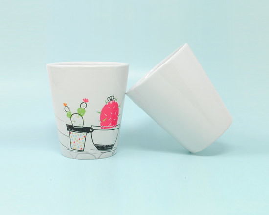 vaso in ceramica da acquistare con o senza pianta grassa