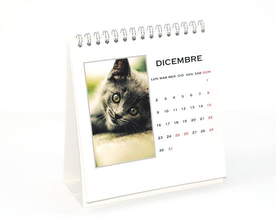 Calendario stampato con foto