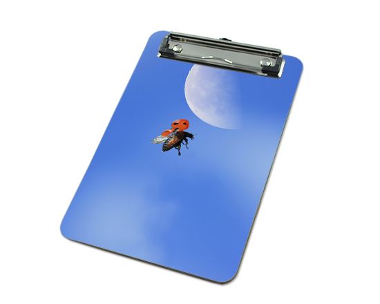 realizza portablocco