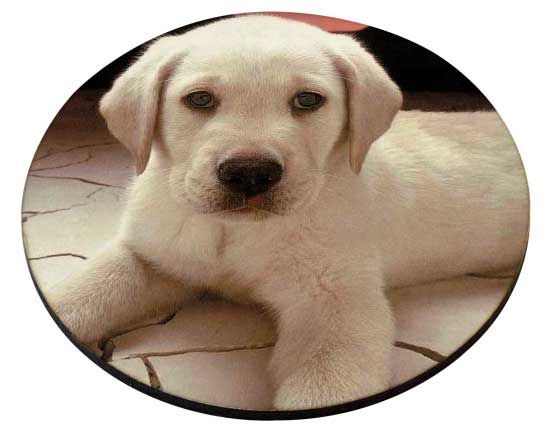sottobicchiere masonite tondo con foto di un cagnolino