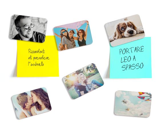 Crea Calamite Rettangolari Pack da 6