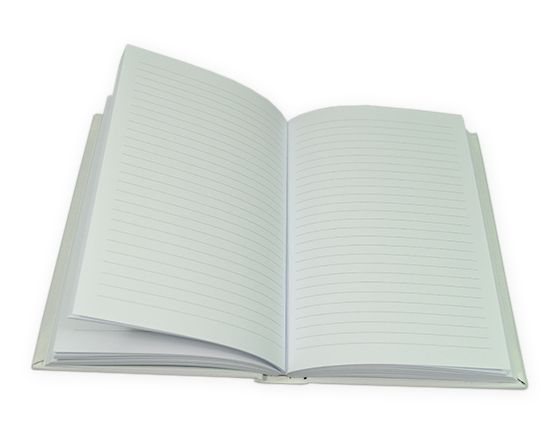 taccuino con interno a righe