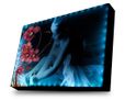 Tela led con grafica di Orchidee