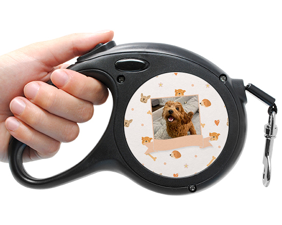 Guinzaglio personalizzato con riquadro e nastro