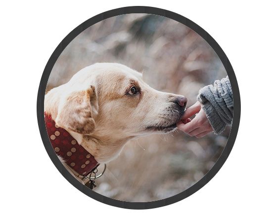 crea zerbino rotondo