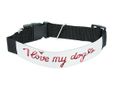 collare per cani grande personalizzato