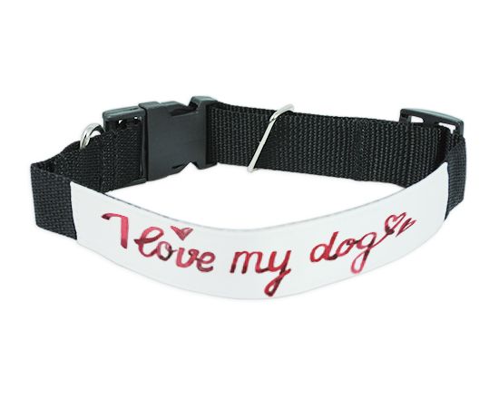 collare per cani grande personalizzato