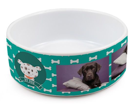 Ciotola per cani con grafica collage