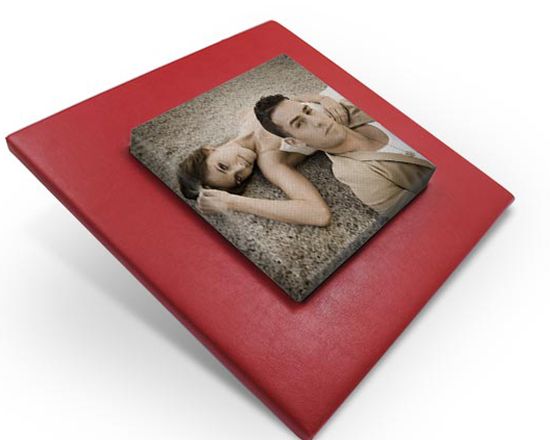 tela con cornice - pelle rossa