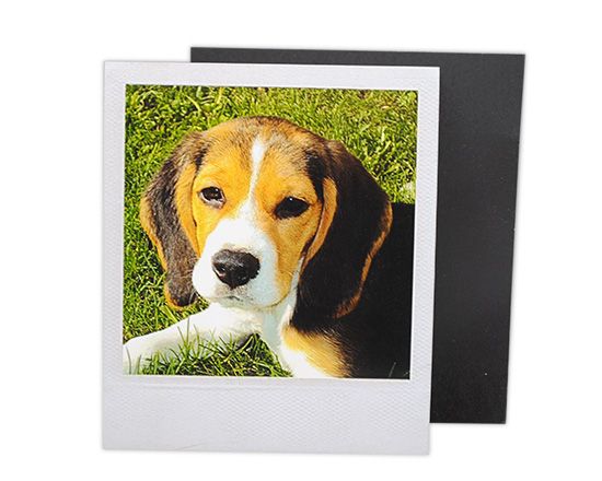 crea calamite vintage