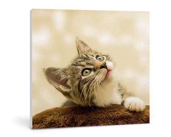 realizza la tela personalizzata nel formato 80x80 cm con le tue foto preferite