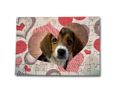 Puzzle personalizzato con grafiche - Formato A4