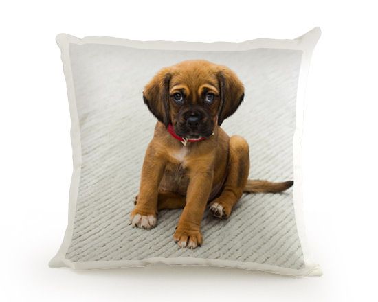 Crea Cuscino Quadrato in Poliestere