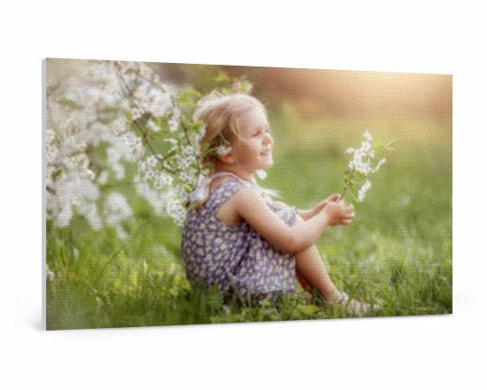 Stampa su tela 100 x 60 cm
