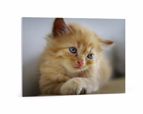 crea tela personalizzata