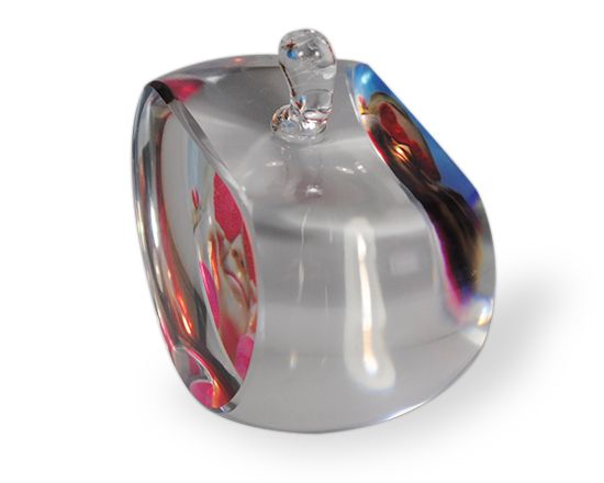 Cristallo Mela con stampa immagini e foto