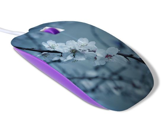 Il colore viola per il tuo mouse personalizzato