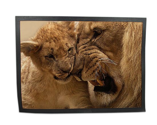 Zerbino in Gomma 80x60