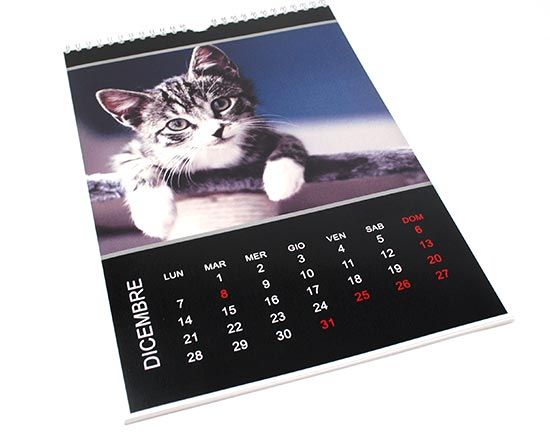 realizza il calendario multipagina nel formato A4