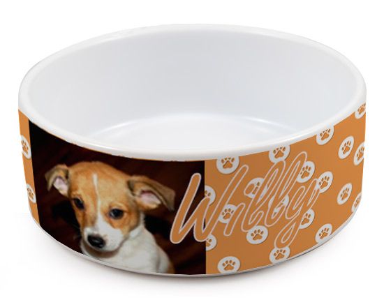 Ciotola per cani con impronte arancioni
