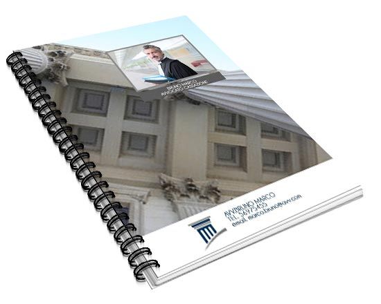 Agenda 14x21 Professional white