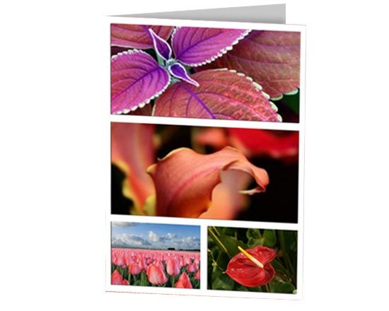 Collage su card di fiori e piante